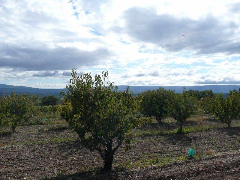 Plot of Building Land for sale in Murs with a nice view to the Luberon mountain