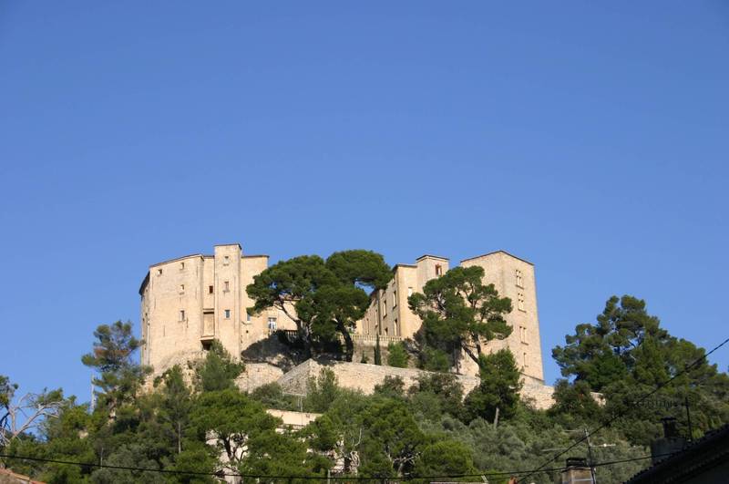 Chateau à vendre par l'agence Immobilière du Luberon