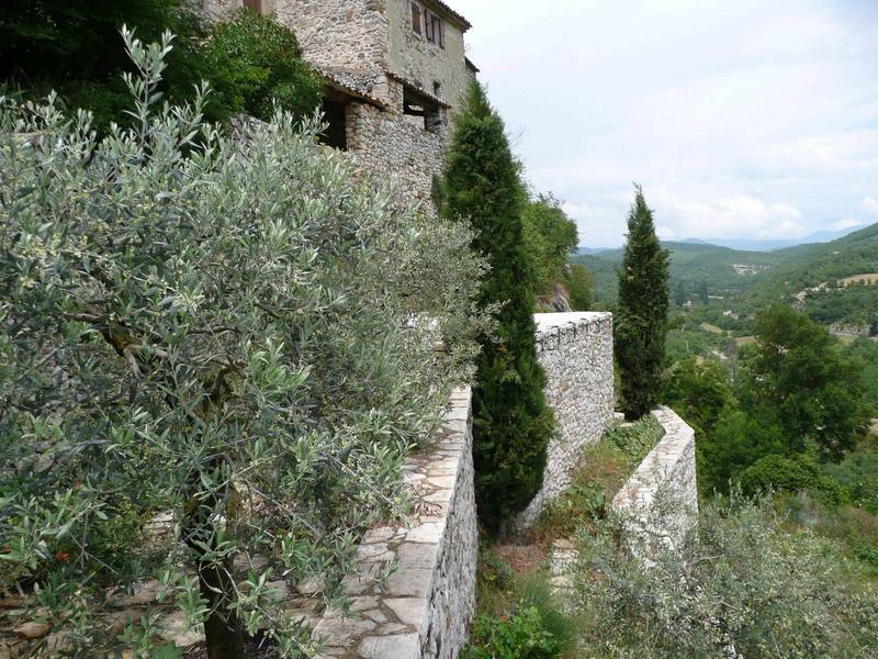 jardin en terrasses avec des oliviers dans cette demeure de village