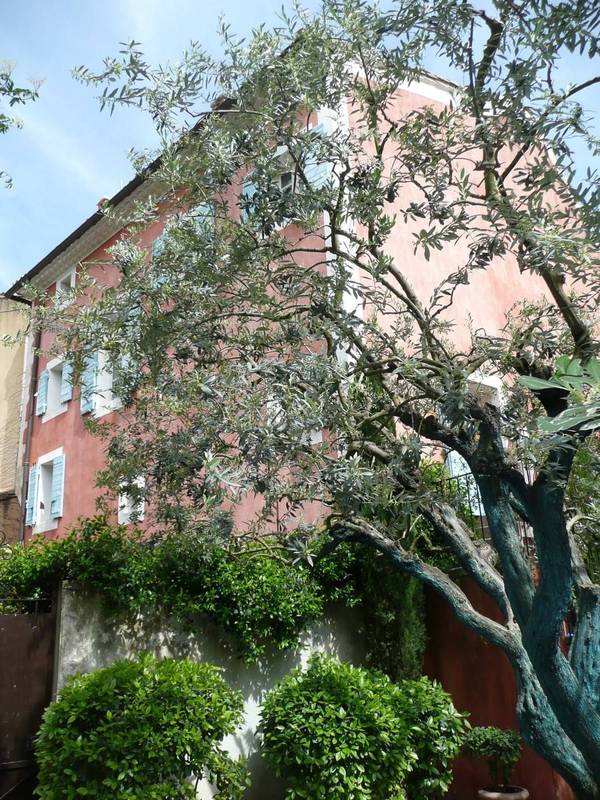 Maison de ville avec jardin paysagé et piscine à vendre près d'Avignon