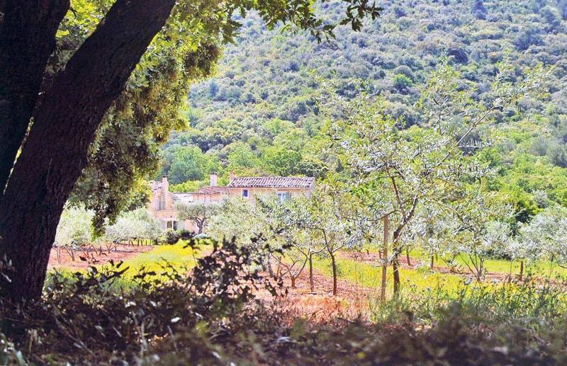 Domaine à vendre à Venasque avec 22 hectares Oliviers AOP, cerisiers et chênes Truffiers