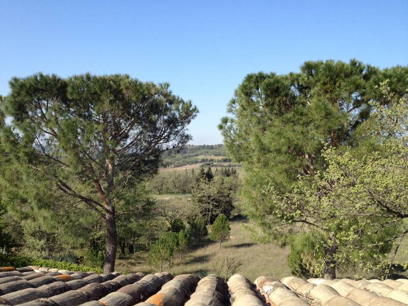 Belle vue dégagée sur les vignes et les collines alentours dans cette propriété à vendre près d'Avignon
