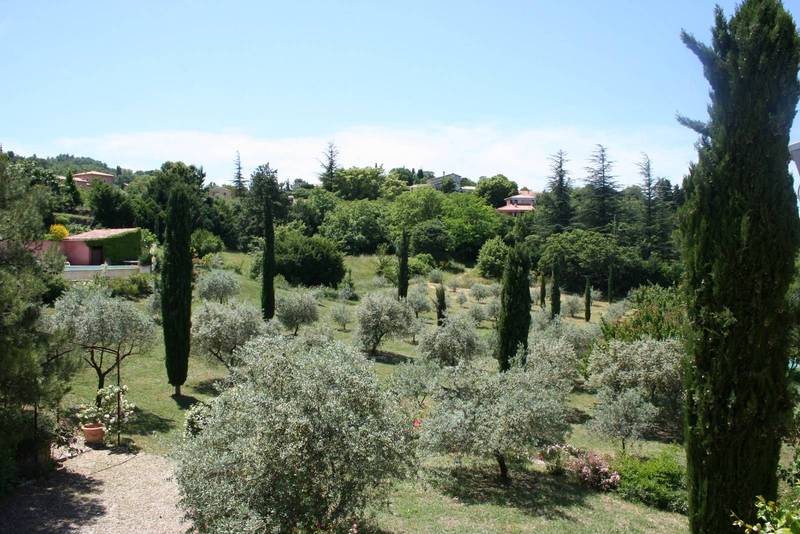 Jardin arboré d'oliviers