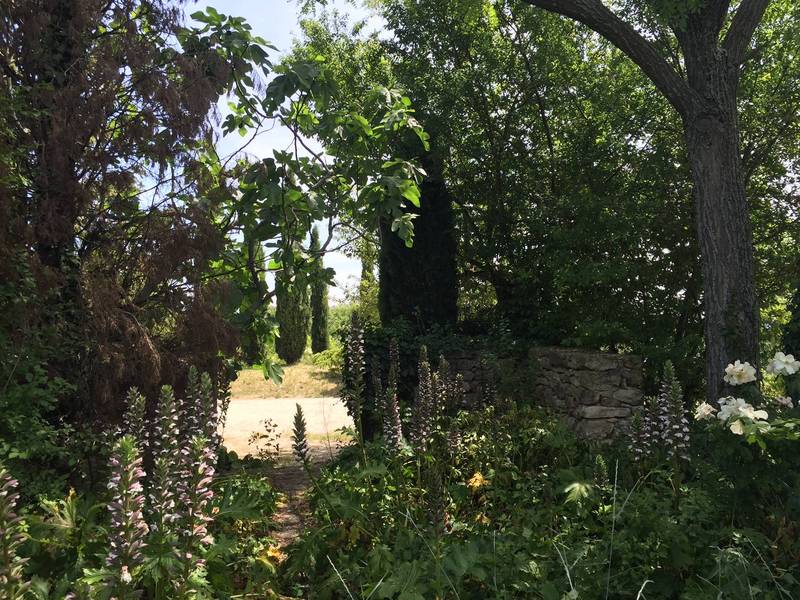 Jardin privatif arboré dans cette maison à vendre à restaurer