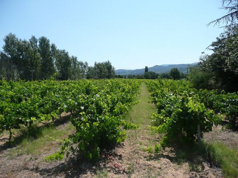 Mas  à vendre à Roussillon avec 6 ha de vignes, une pinède, une superbe vue