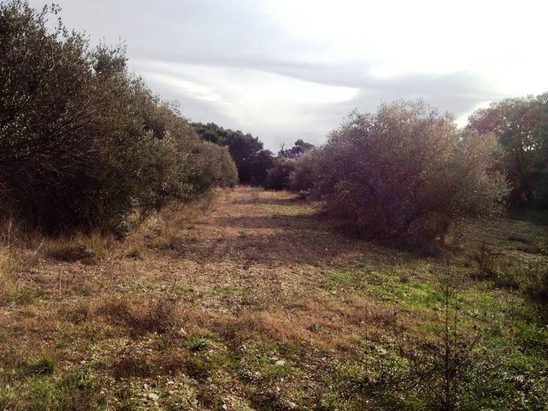 Terrain à bâtir  MERINDOL Lourmarin à 15 minutes Luberon Sud terrain à bâtir planté d'oliviers