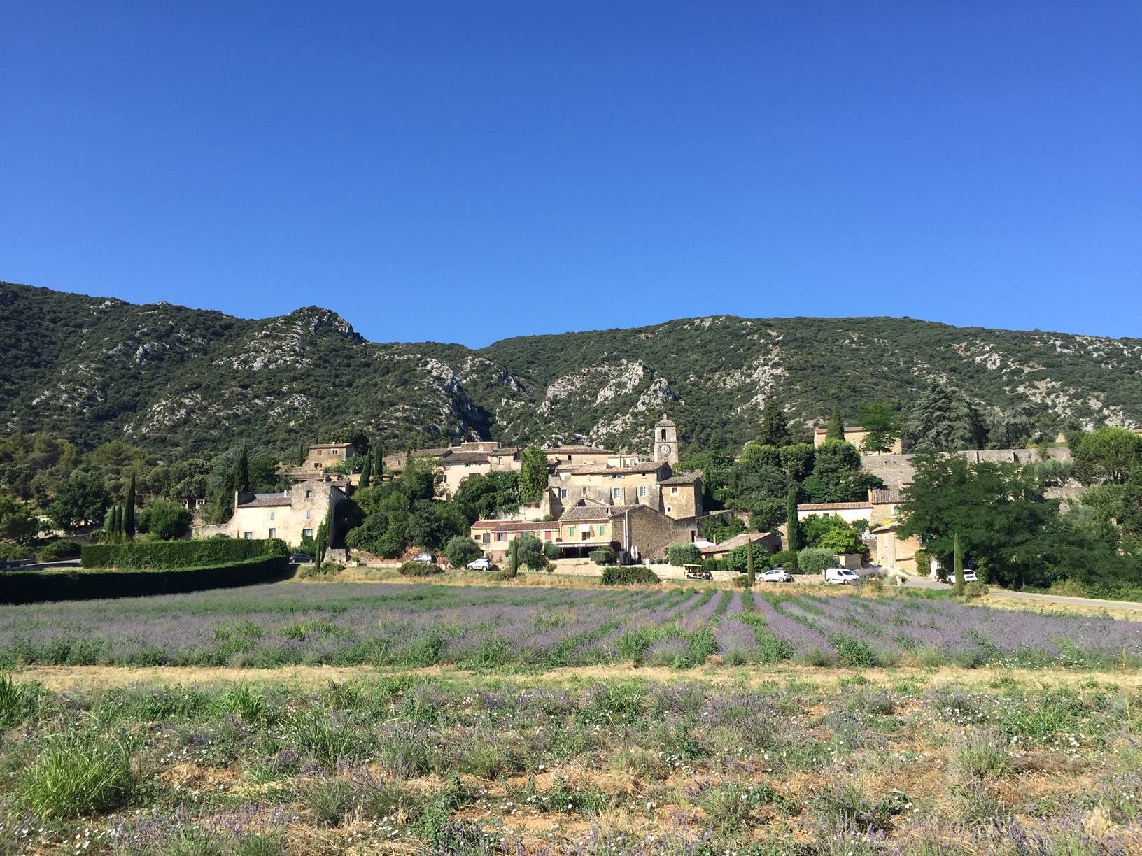 immobilière du luberon