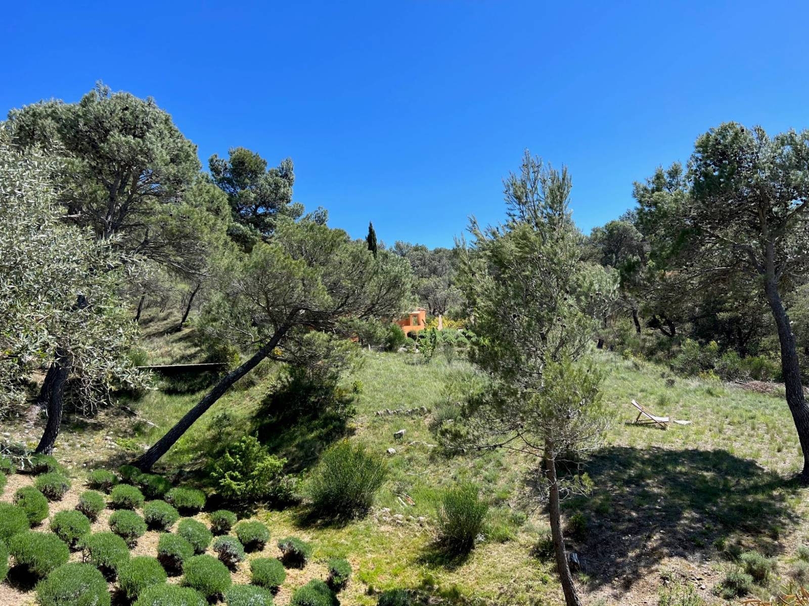 immo luberon