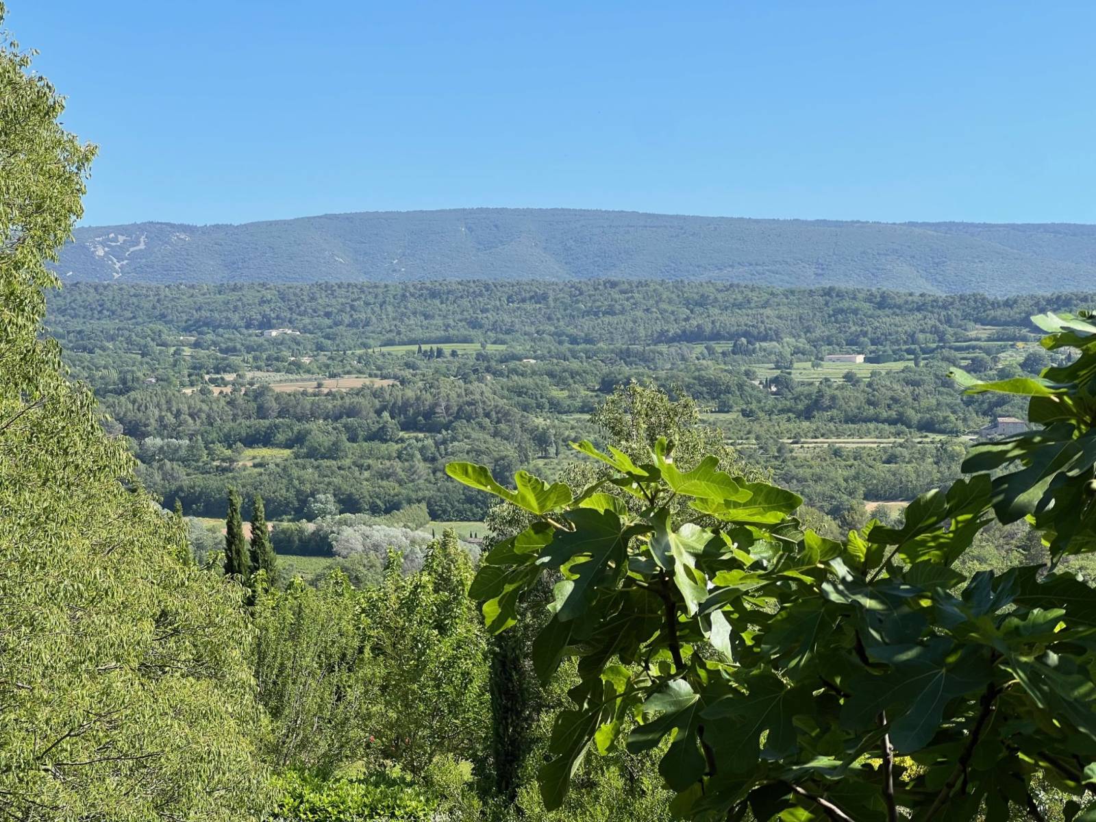 immobilier goult