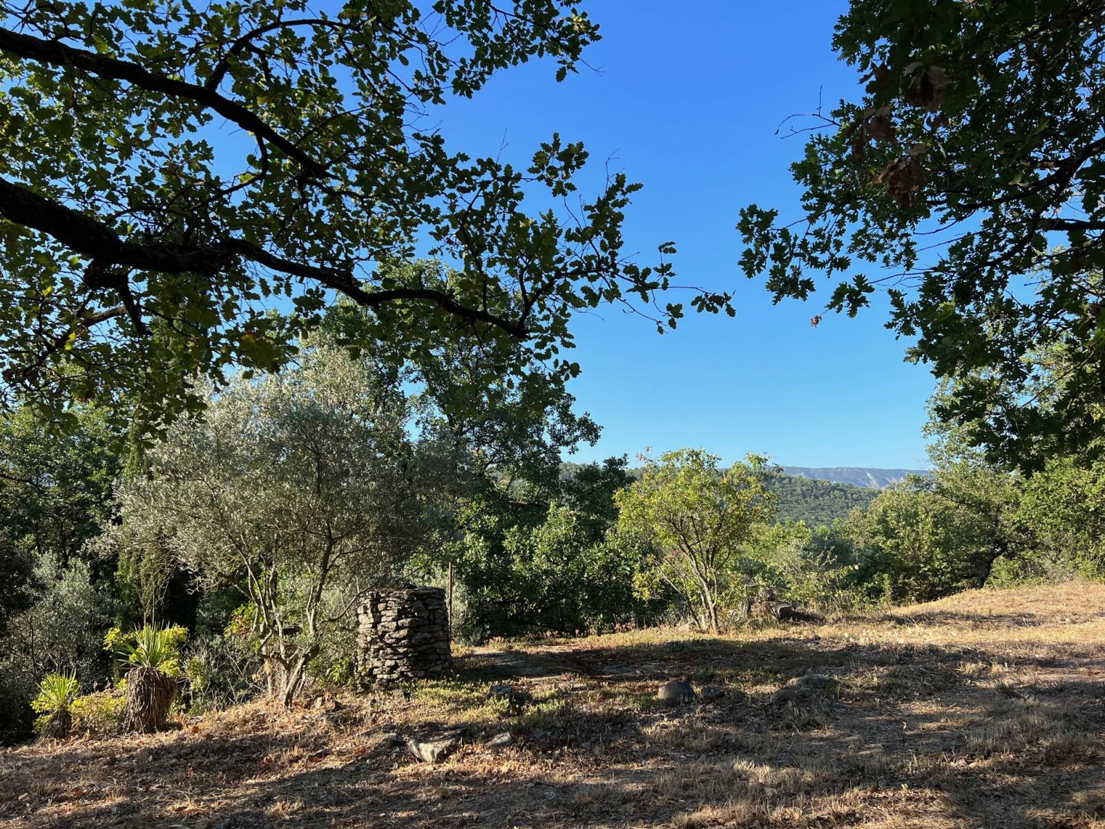 agence immobilière du luberon