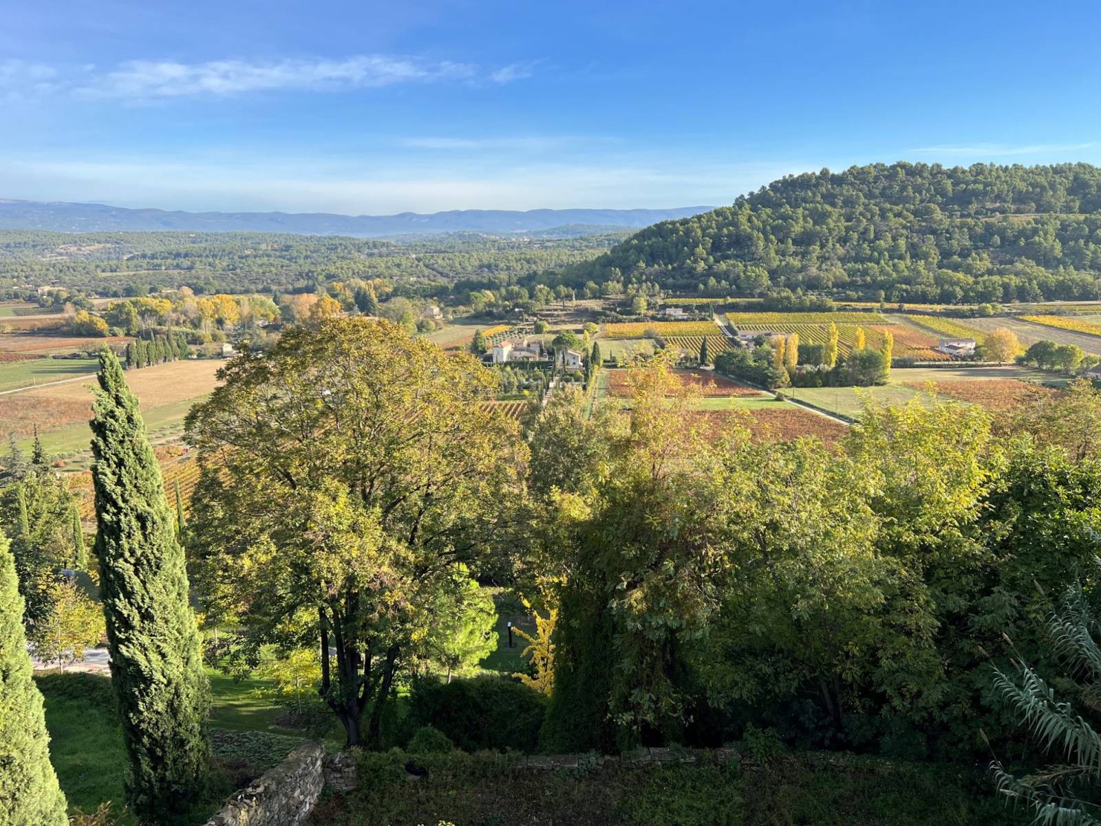 ménerbes immobilier