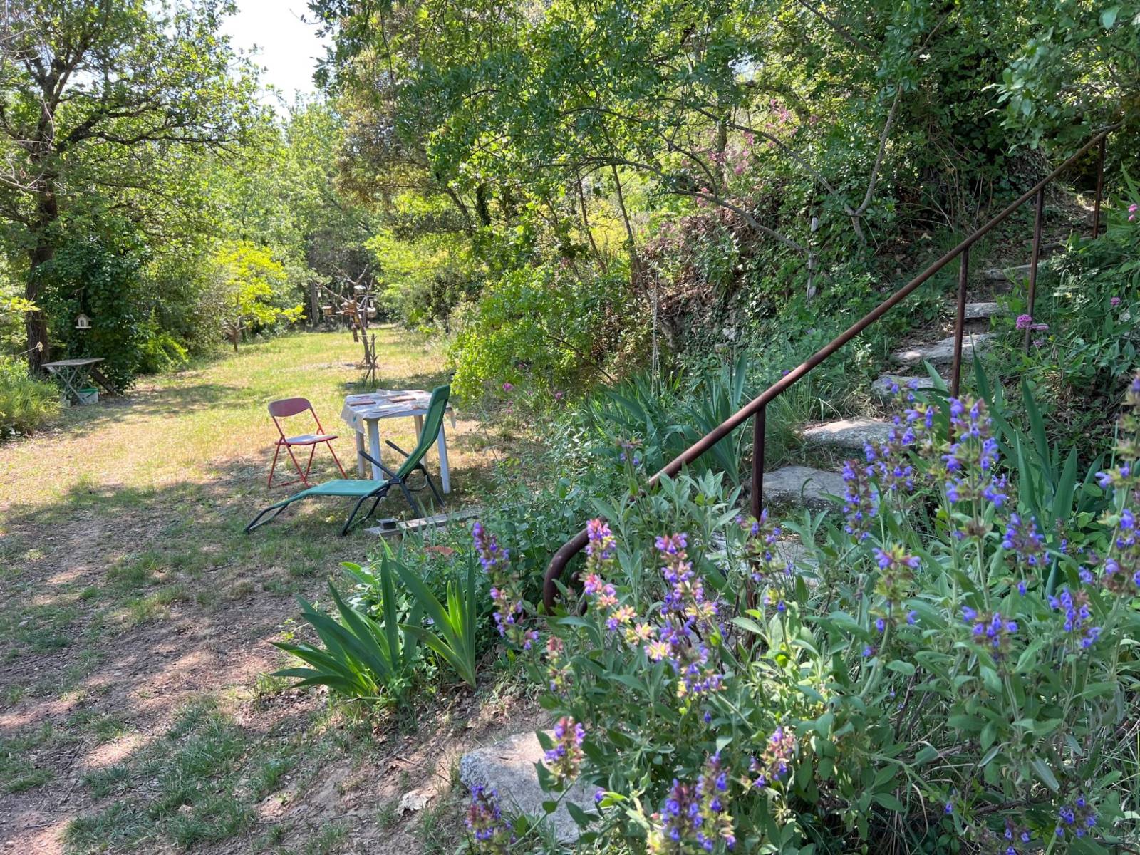 menerbes immobilier