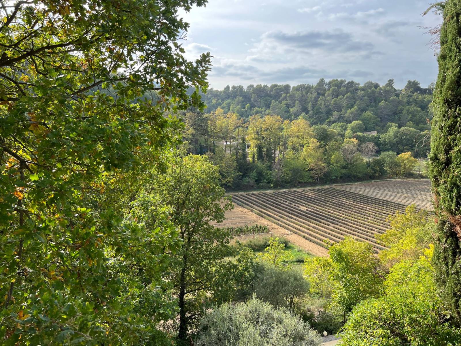 ménerbes immobilier