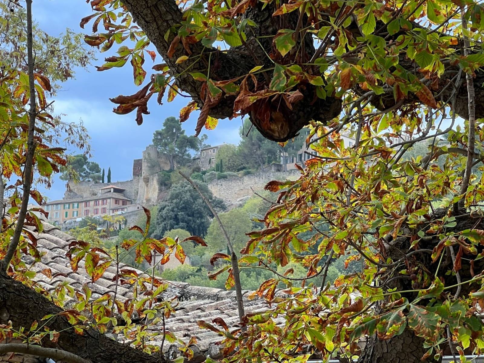 agence immobilière provence