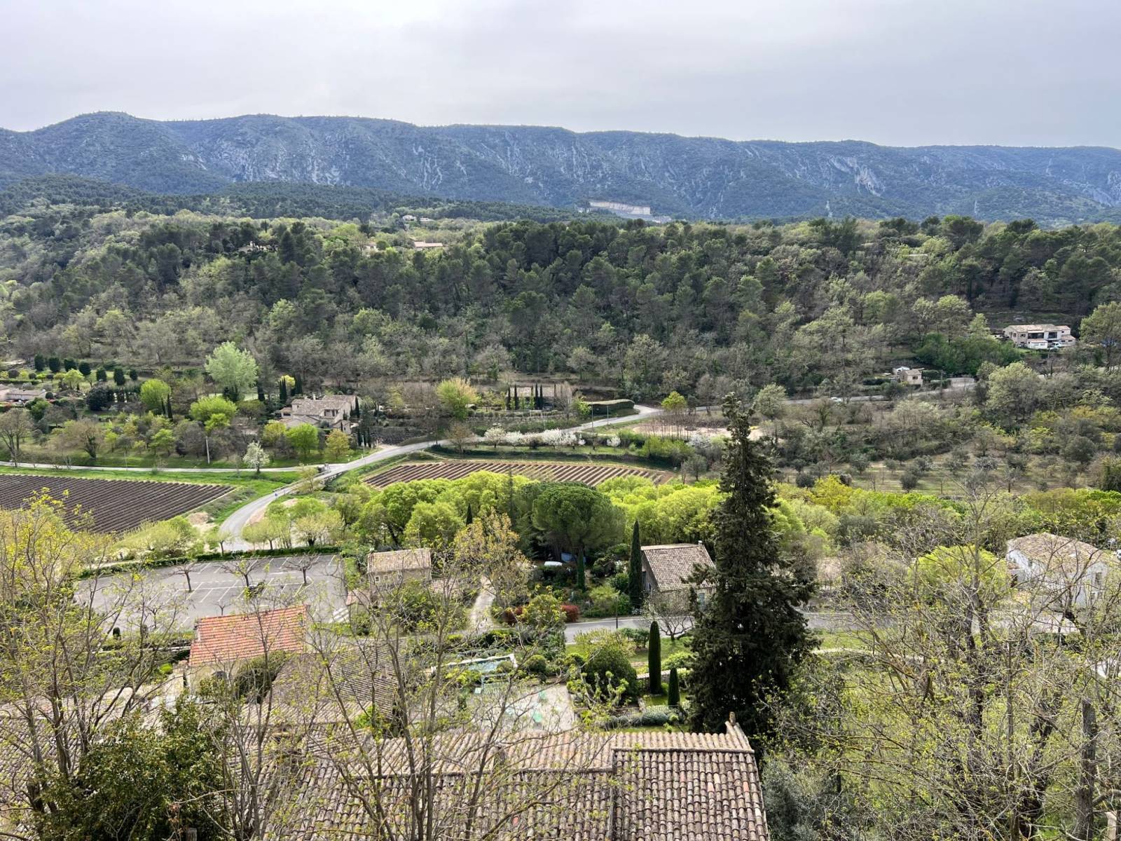 luberon immobilier