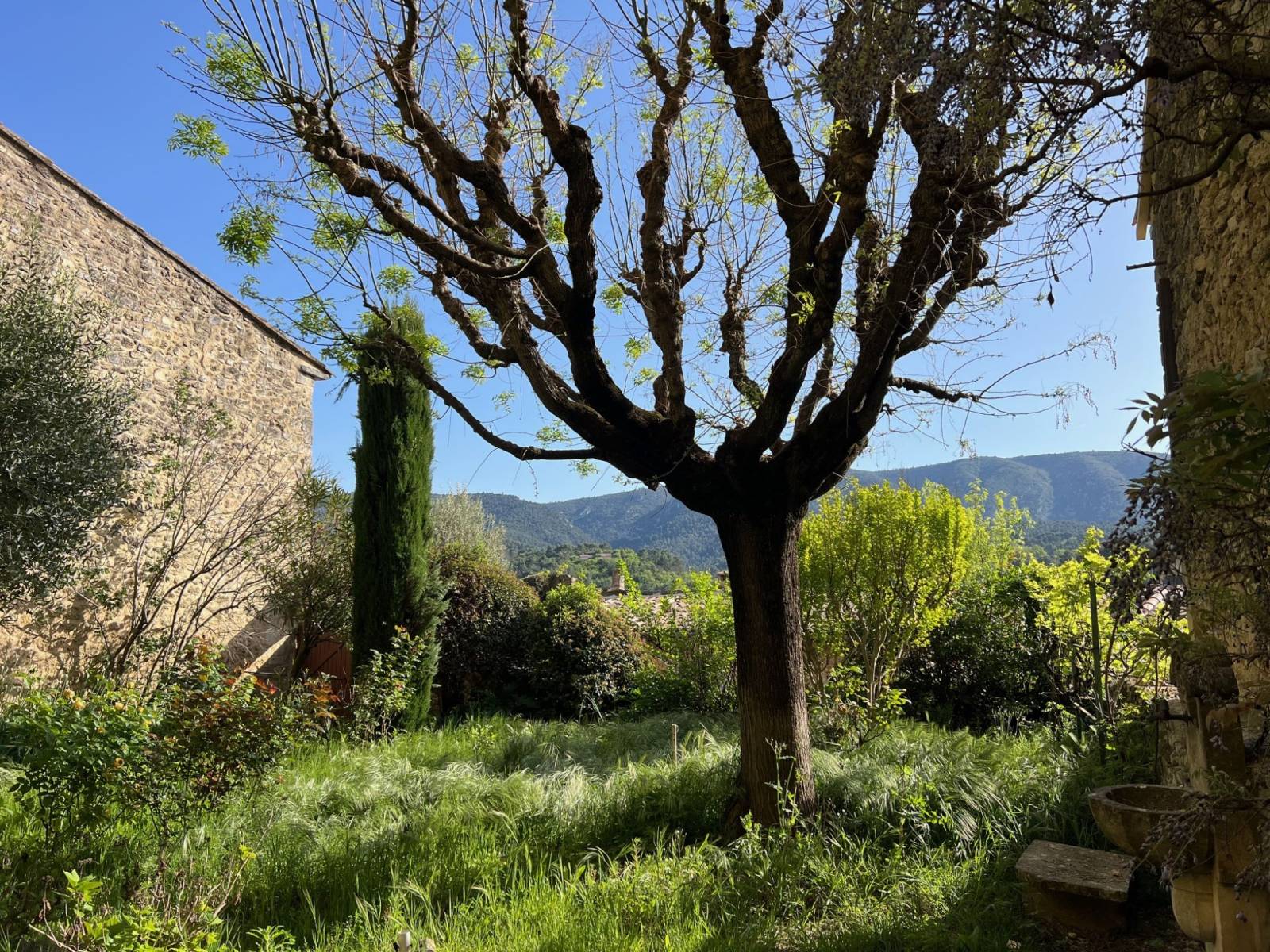 immobilière du luberon