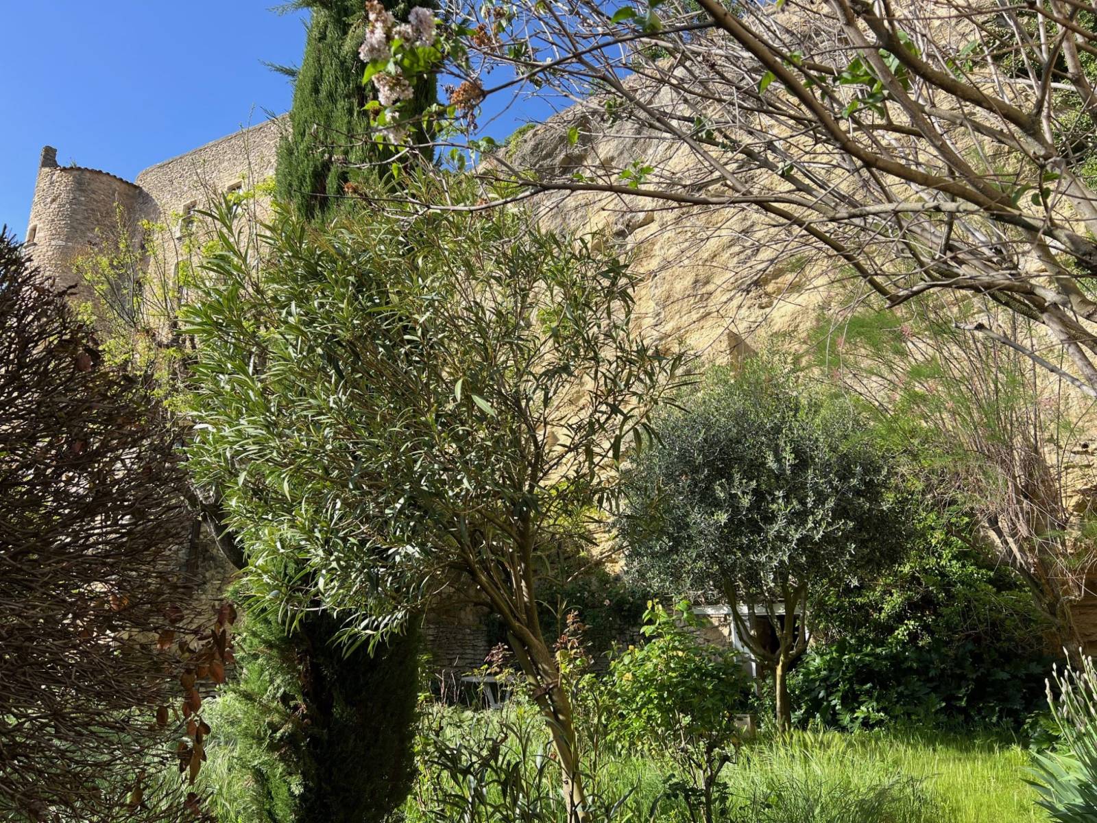 luberon immobilier 