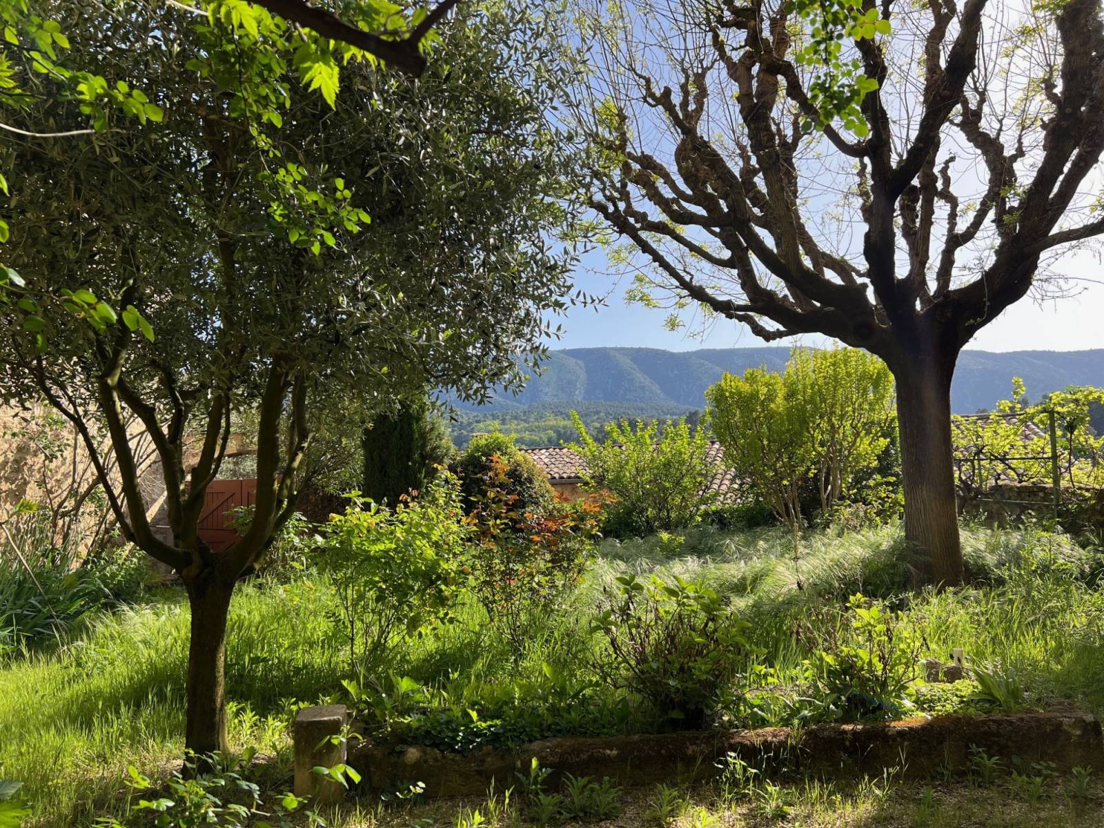 immobilier ménerbes