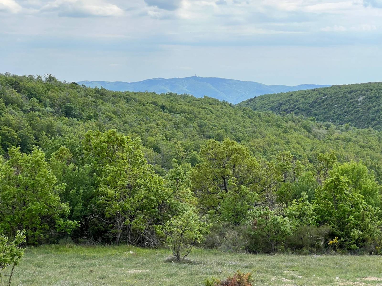 propriété avec vue panoramique