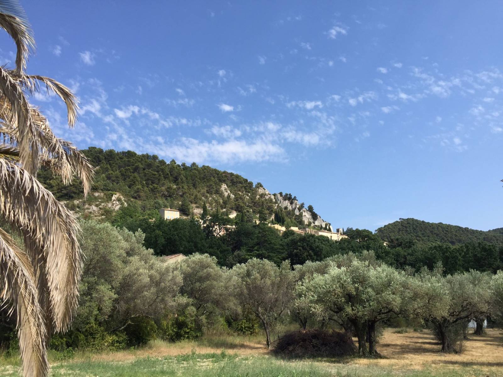 seguret immobilier