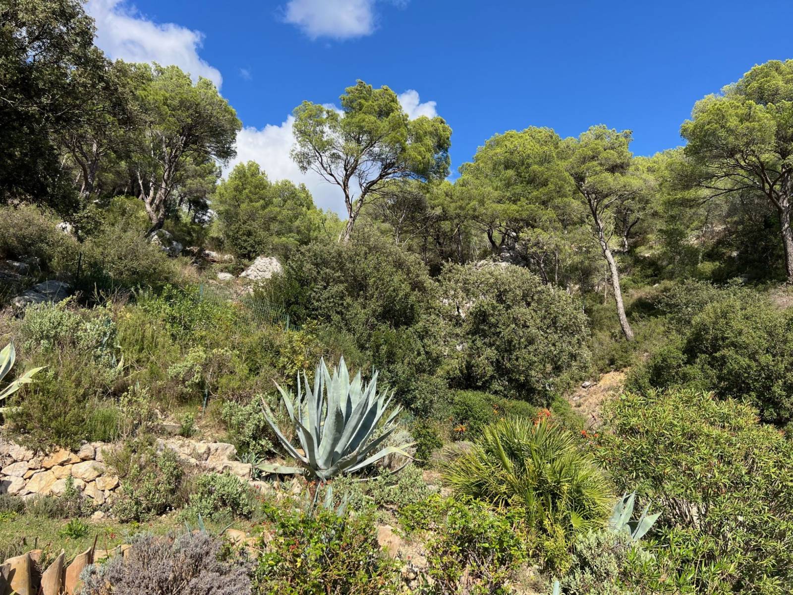 bergerie luberon