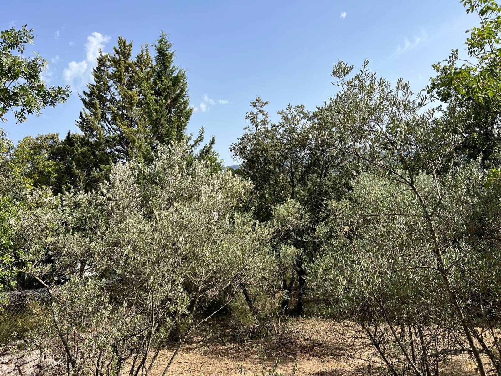immobilier luberon