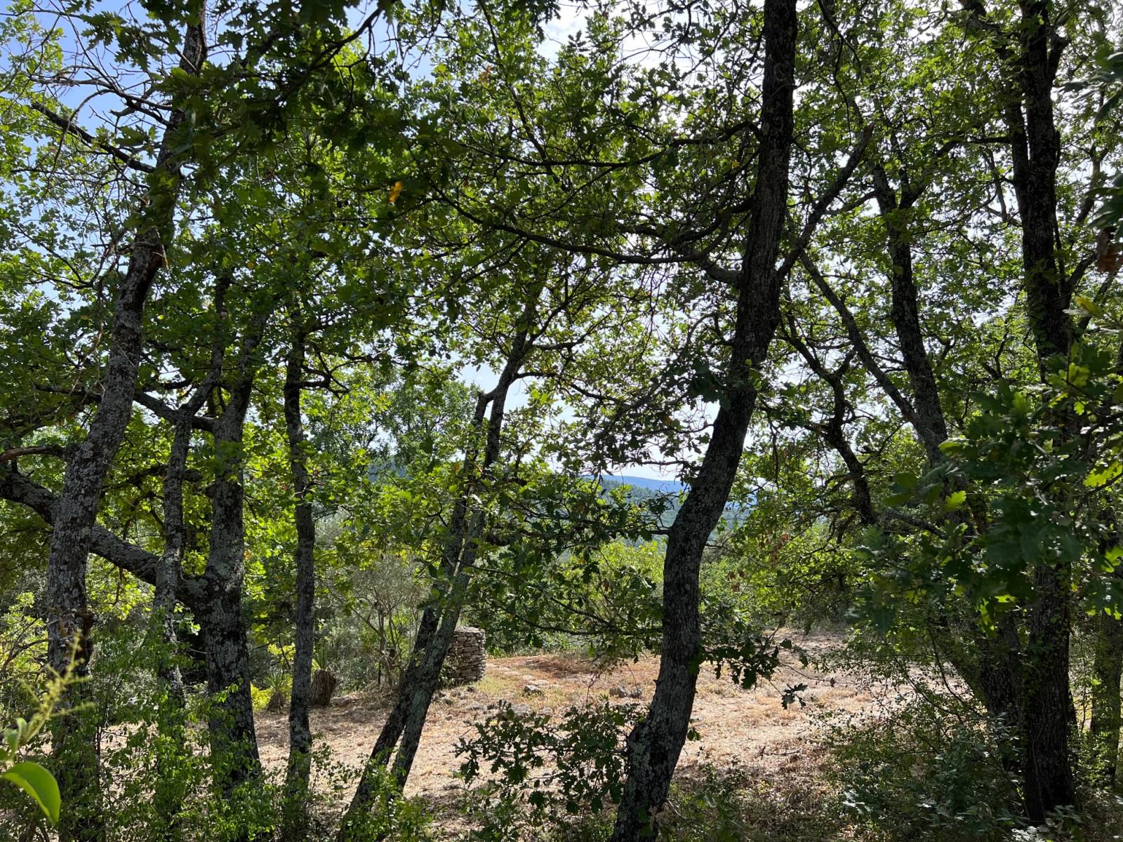 terrain constructible luberon