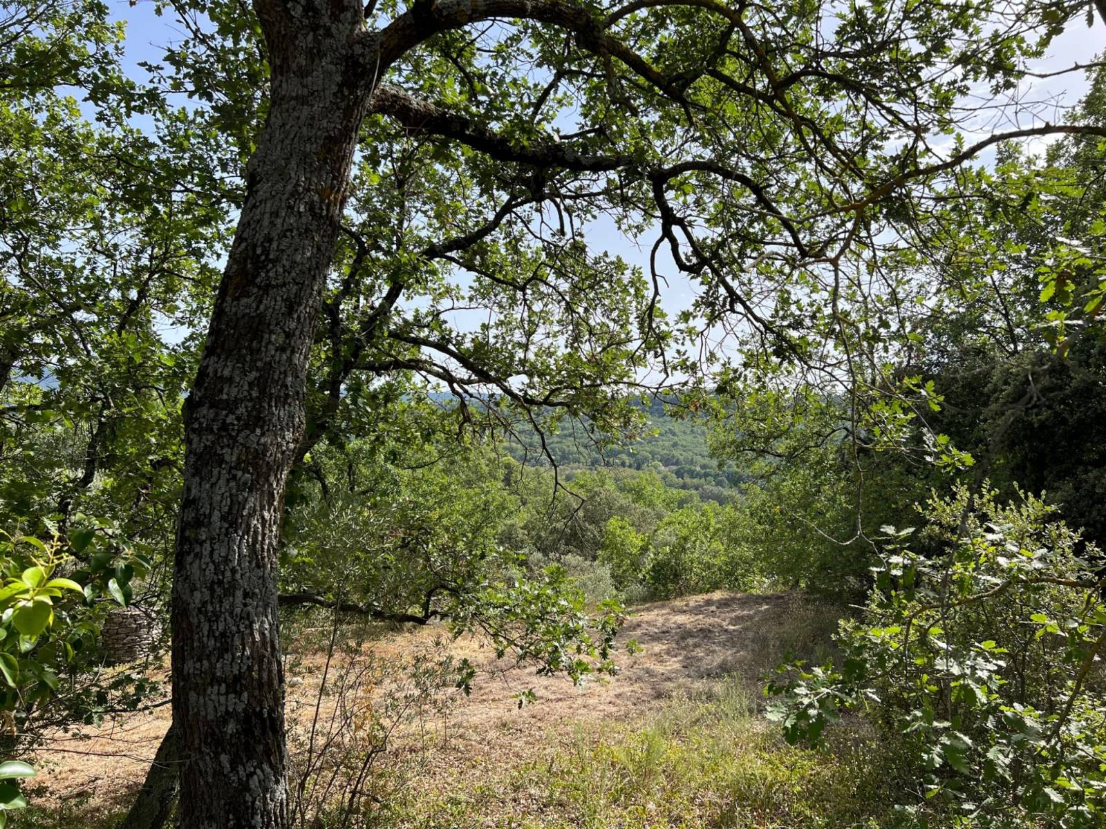 terrain a batir luberon