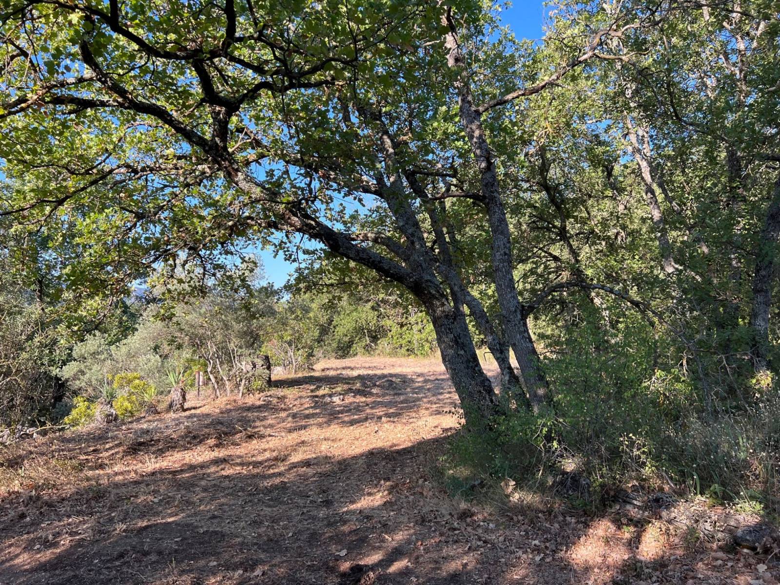 immobilière du luberon