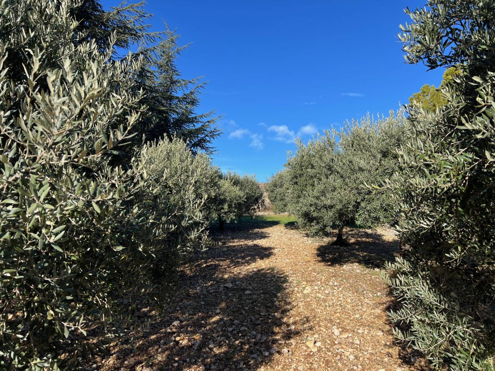 immo luberon