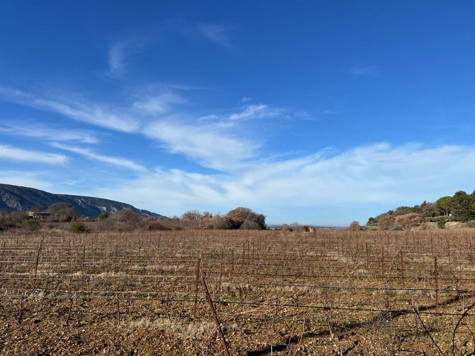 immobilière du luberon