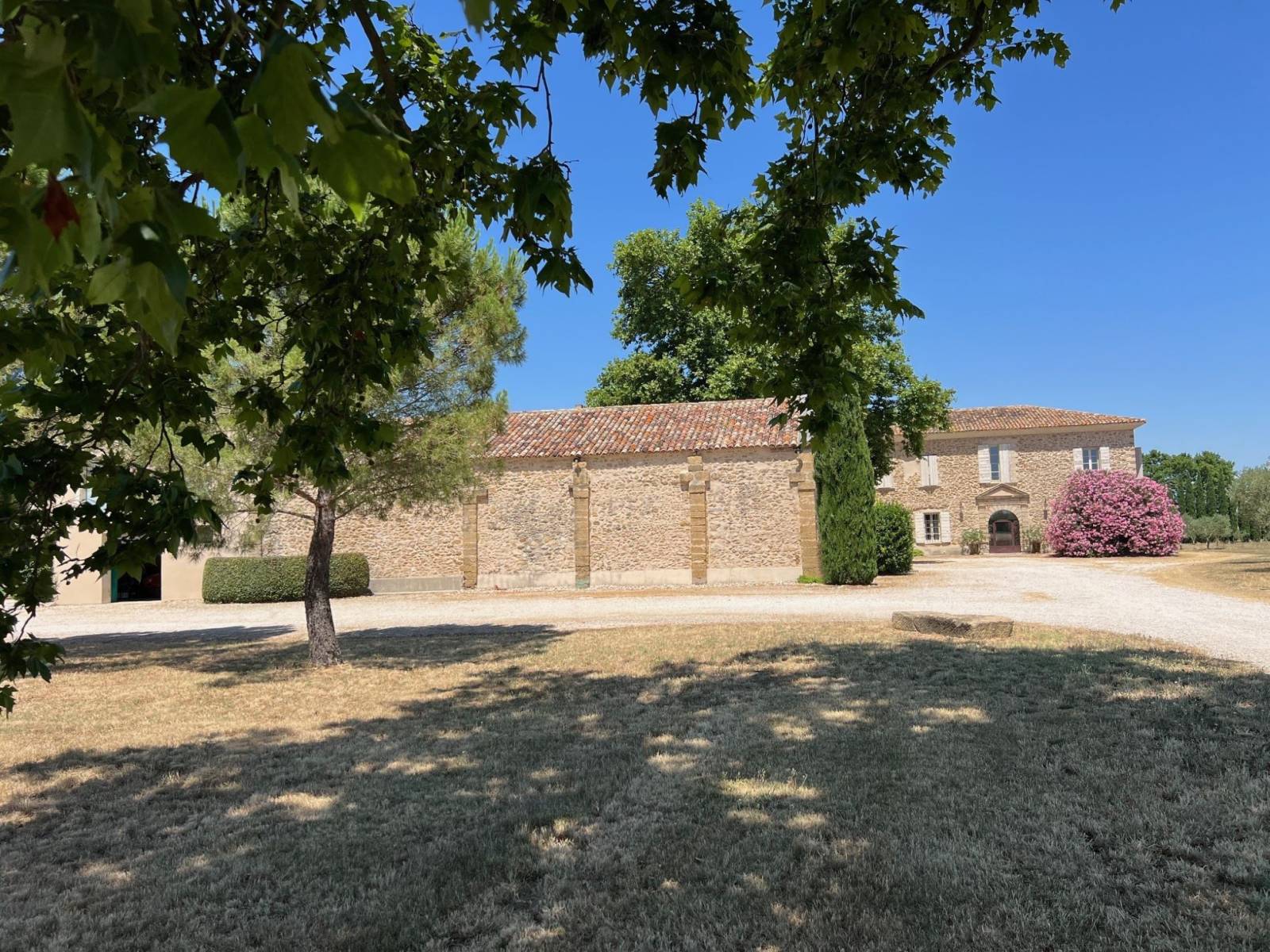 Avignon immobilier