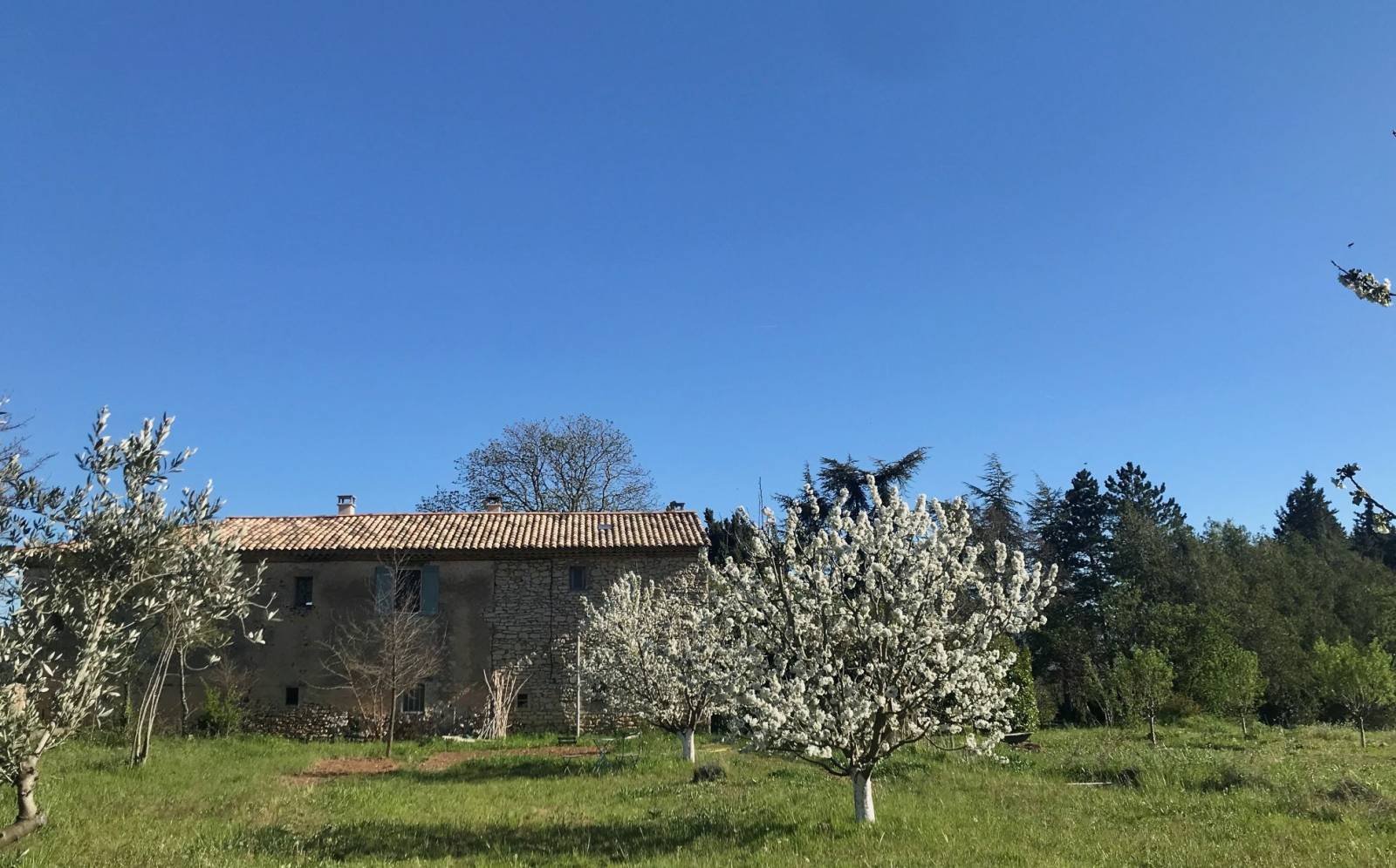 immo luberon