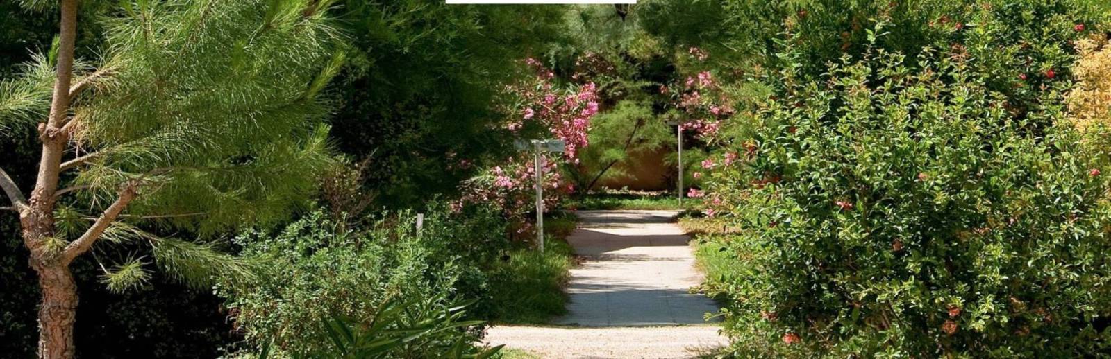 camargue immobilier