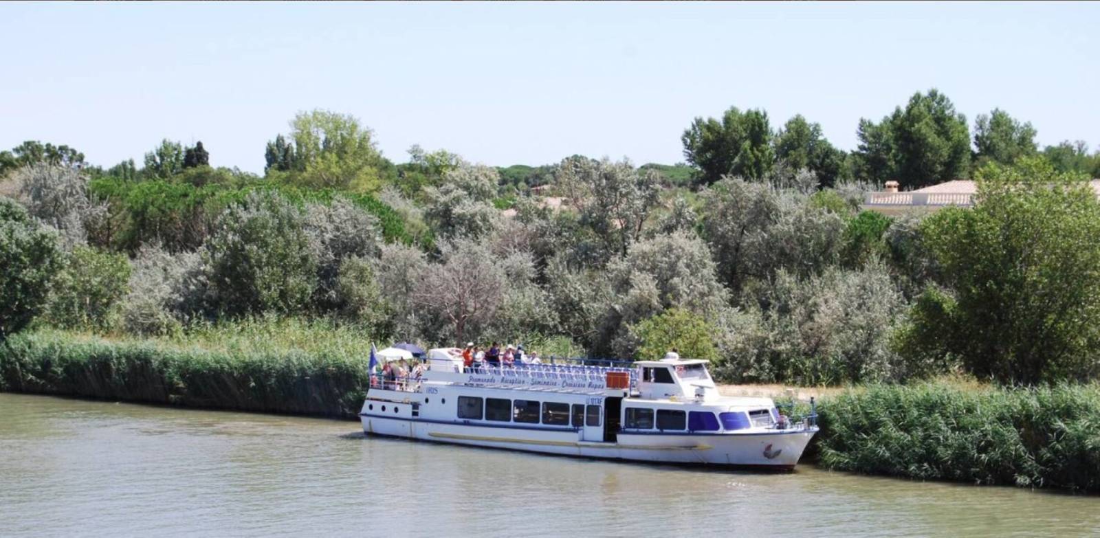 immobilier camargue