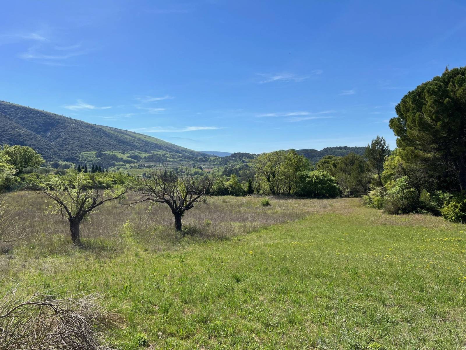Immobilière du Luberon