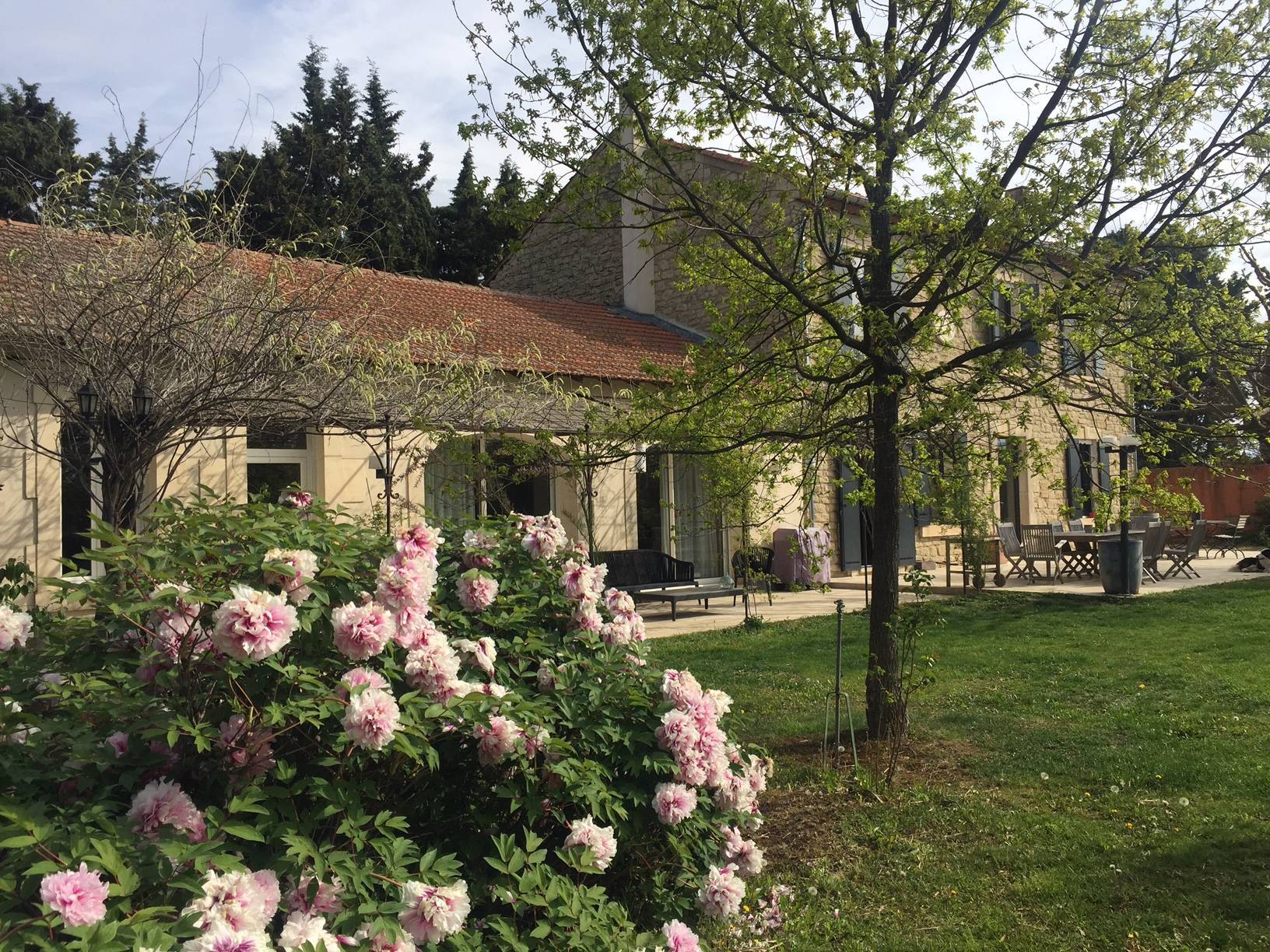 Mas ancien restauré à vendre à Pernes les Fontaines avec son oliveraie