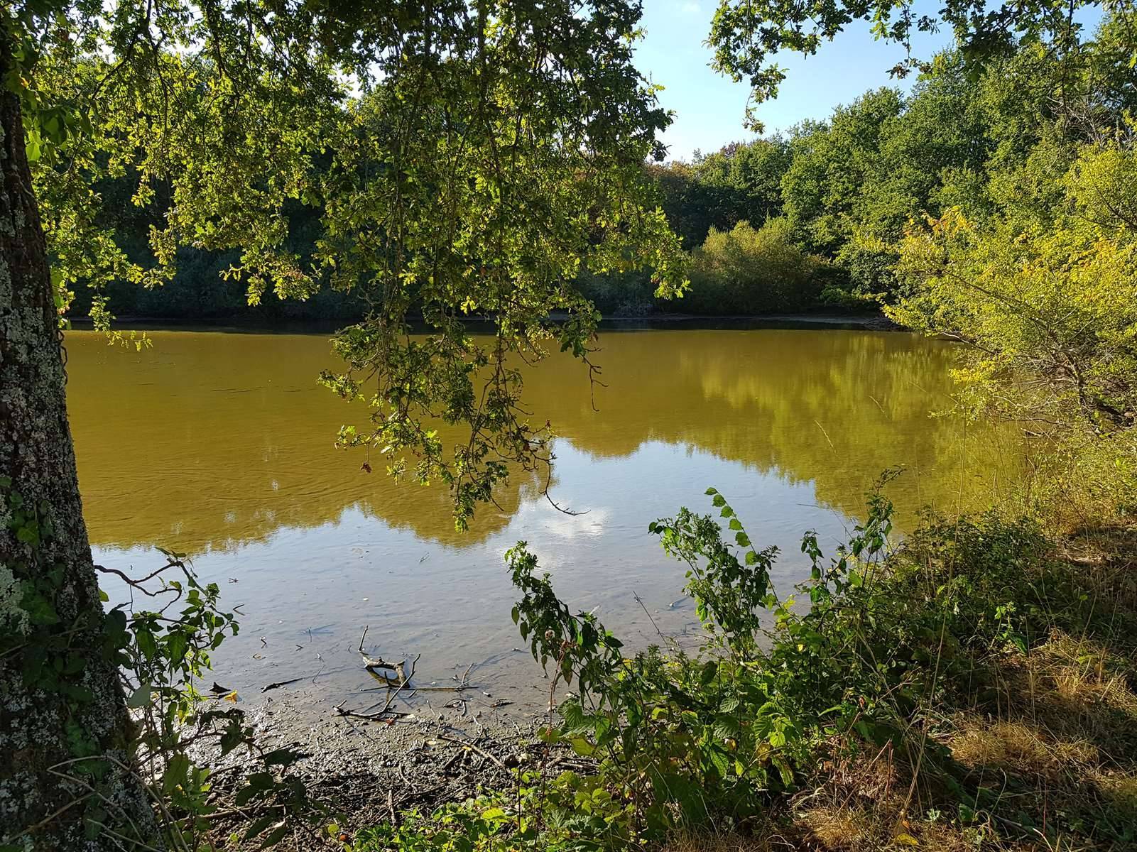 Propriété de chasse à vendre en Sologne avec un étang