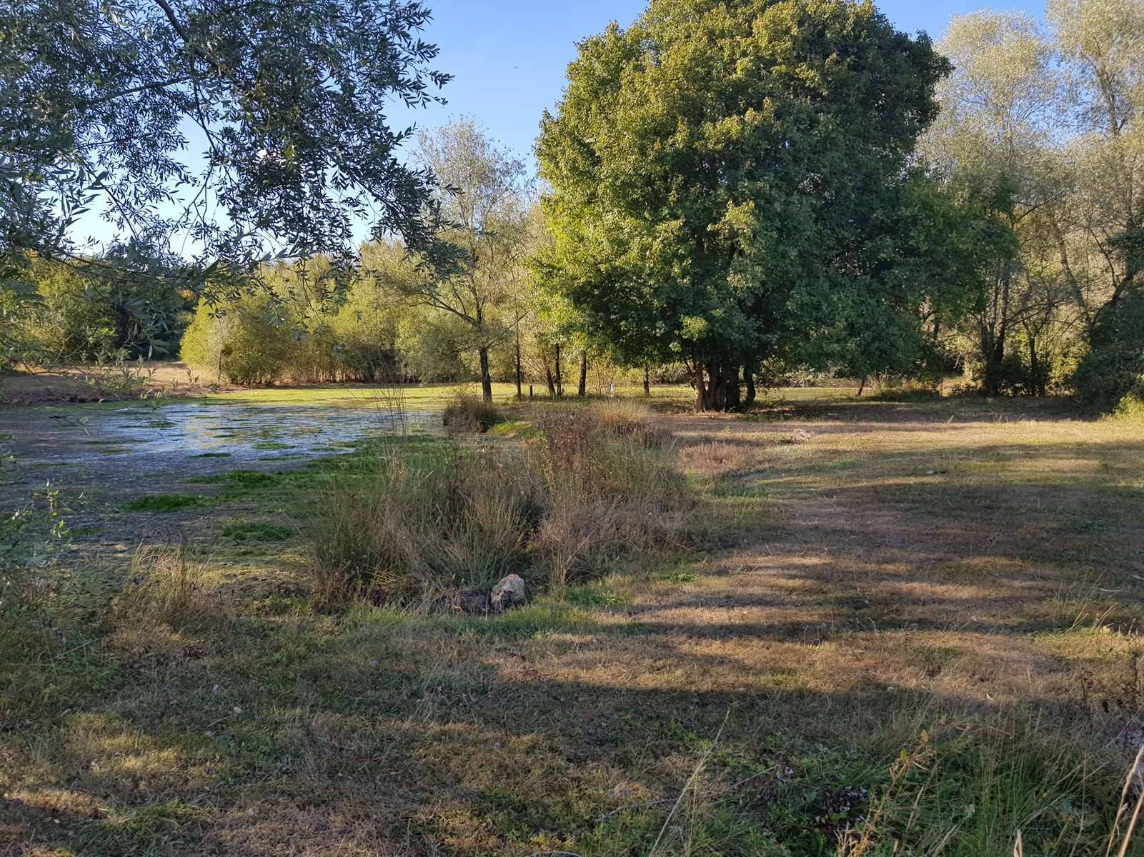 Immobilier à vendre en Sologne