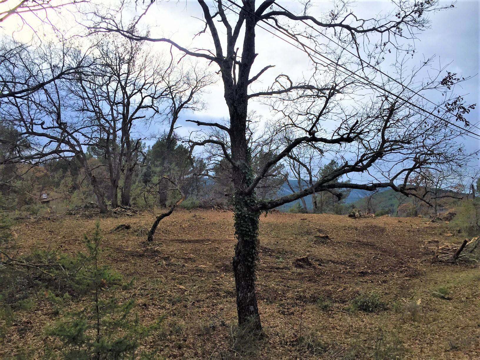 immobilier ménerbes