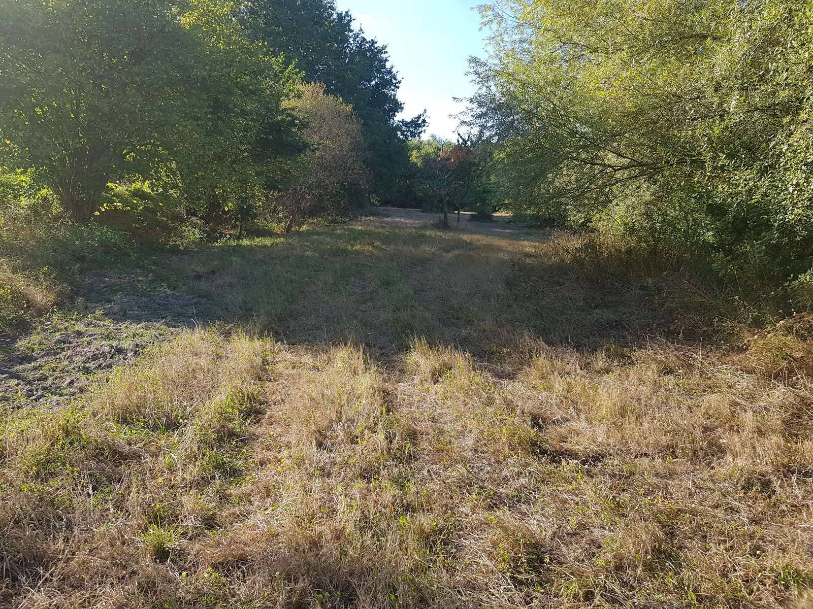 acheter une propriété de chasse en sologne