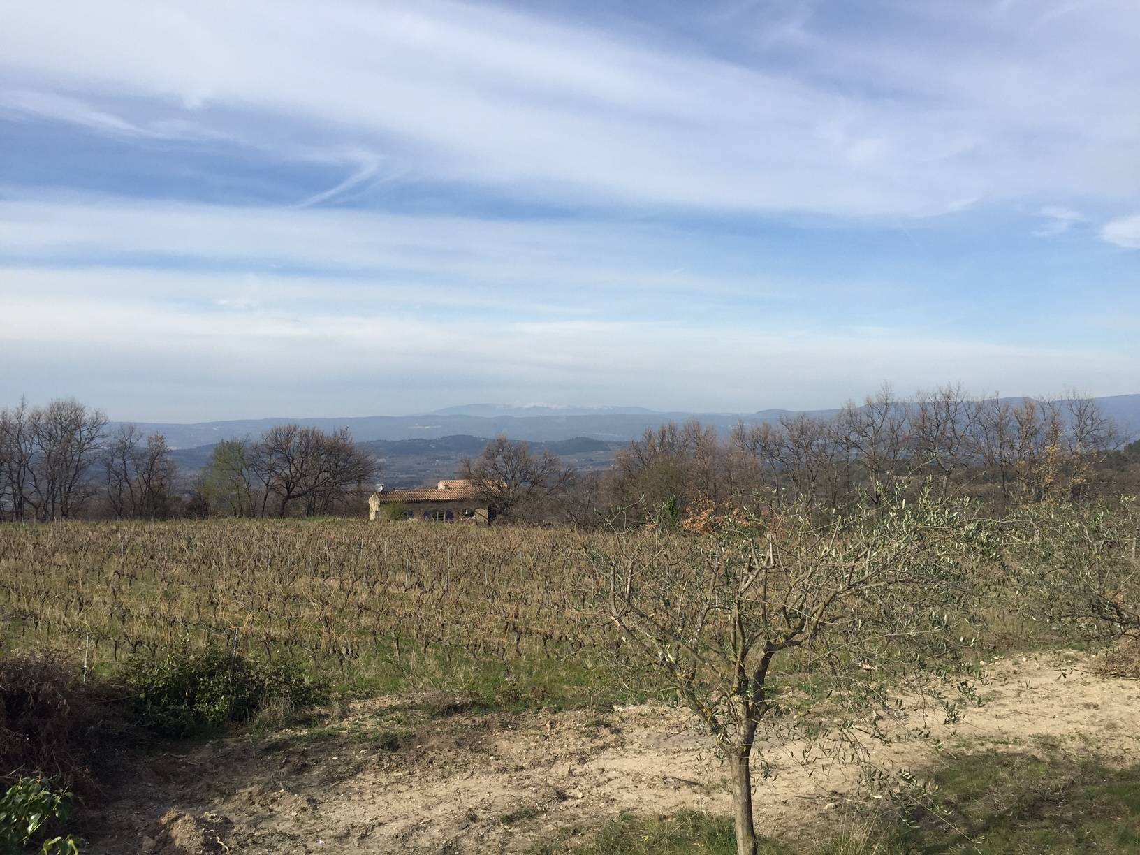 terrain constructible à vendre à Bonnieux