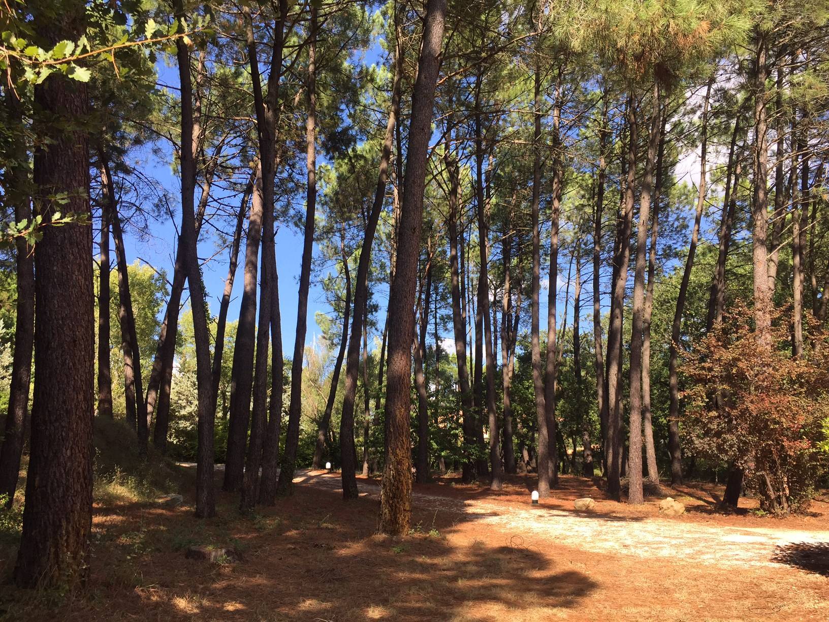 agence immobilière roussillon