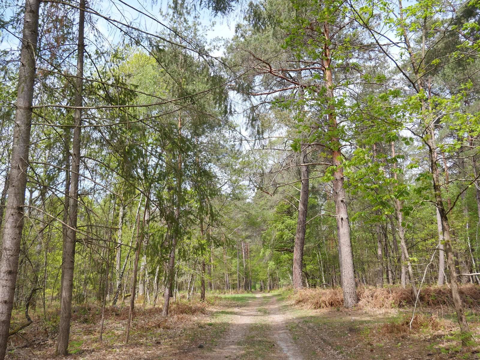 territoire de chasse en sologne