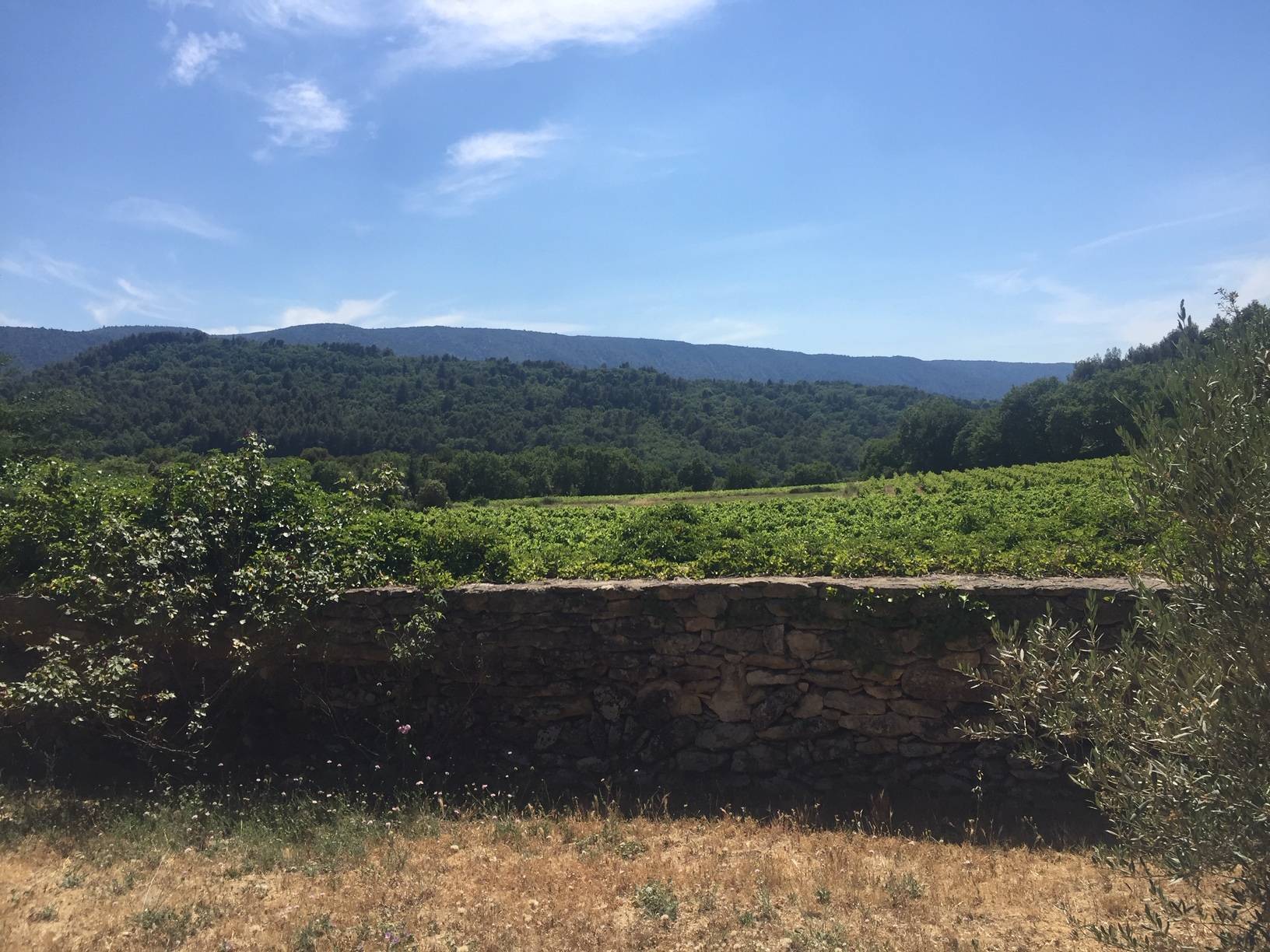 immobiliere du luberon
