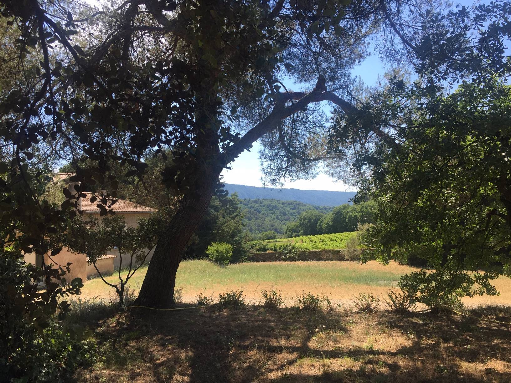 immobilier menerbes