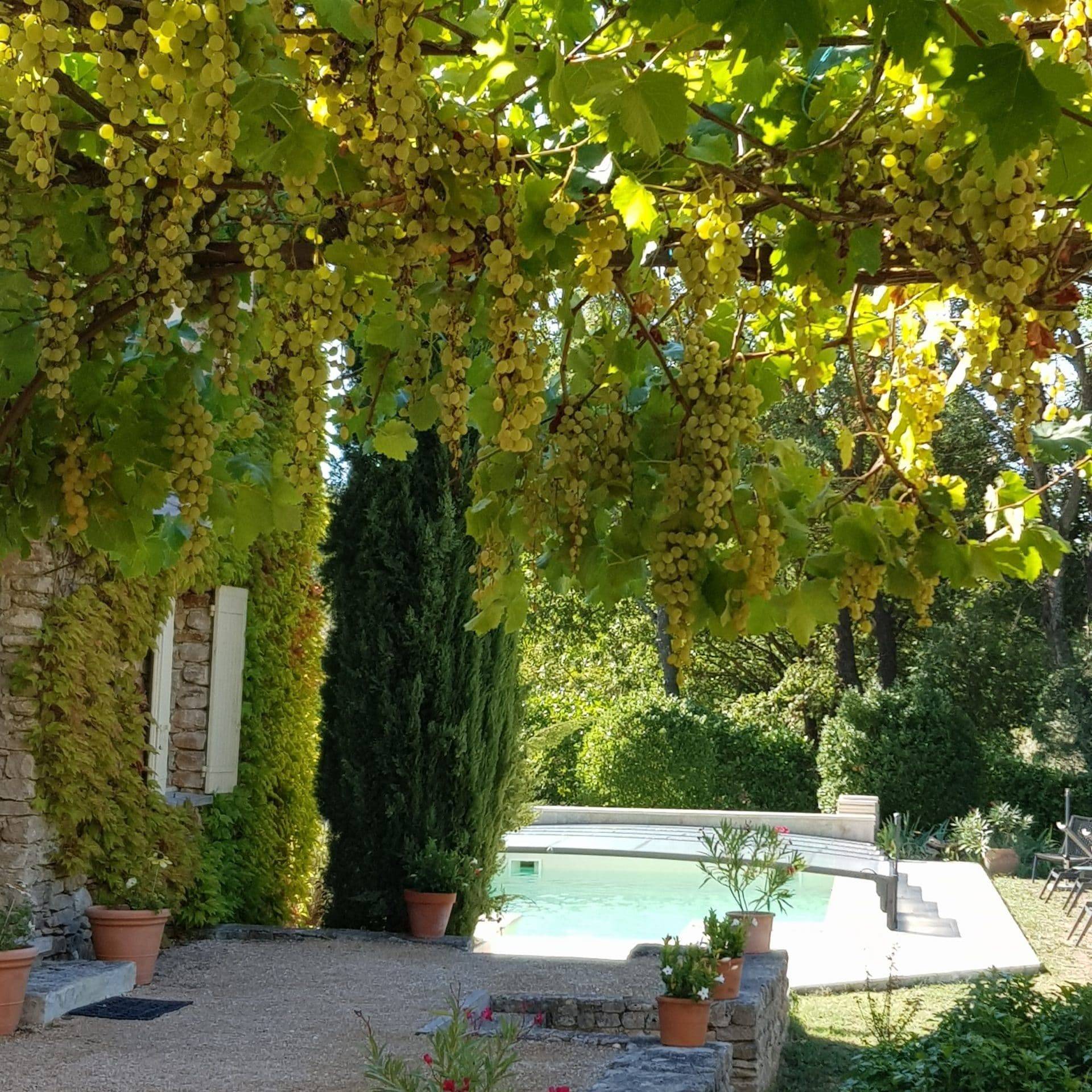 propriété luberon