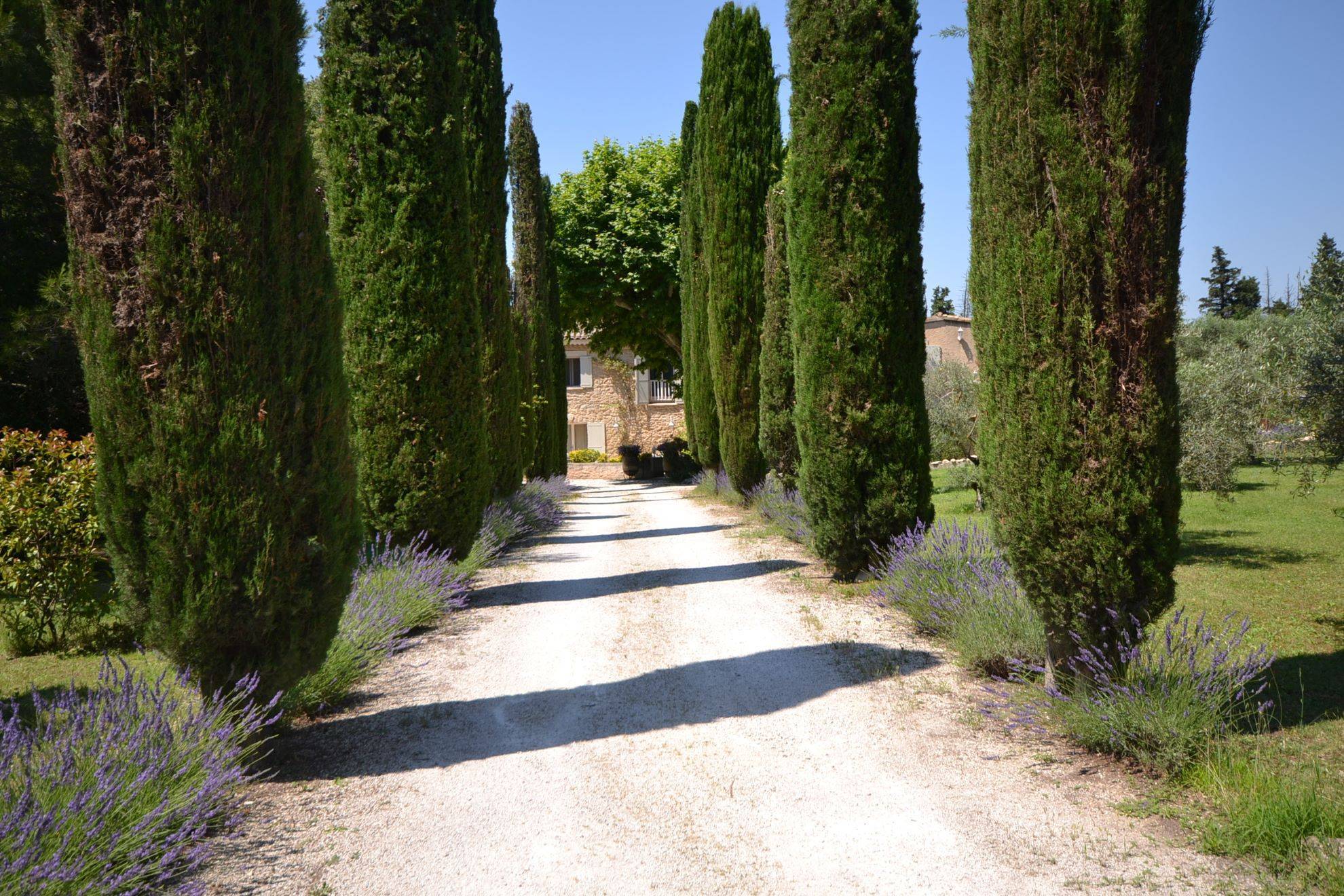 immo luberon