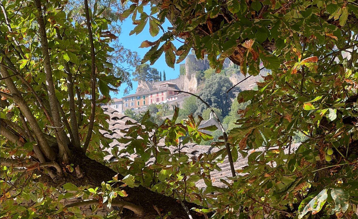 immobilier du luberon