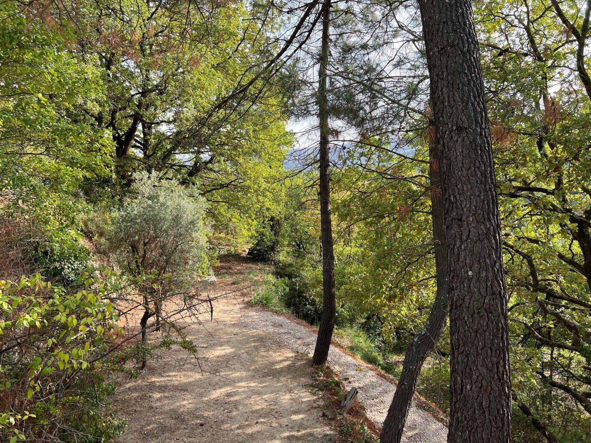 immobilier parc du luberon